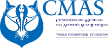 CMAS logo